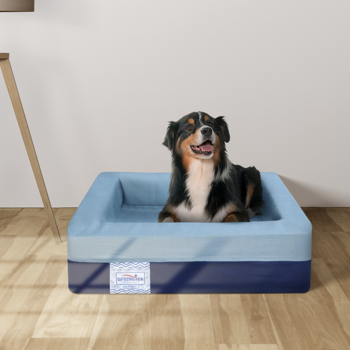Pet Dog Cat Beds