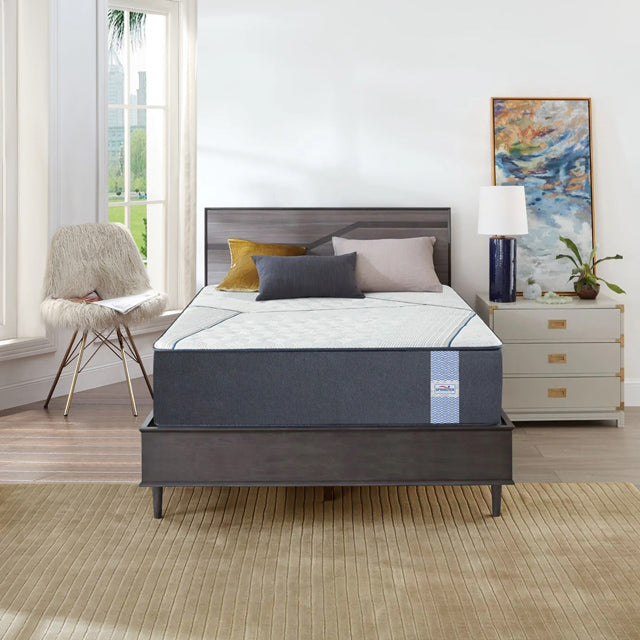 Memory & Bonded Foam, Spine Support Orthoapedic