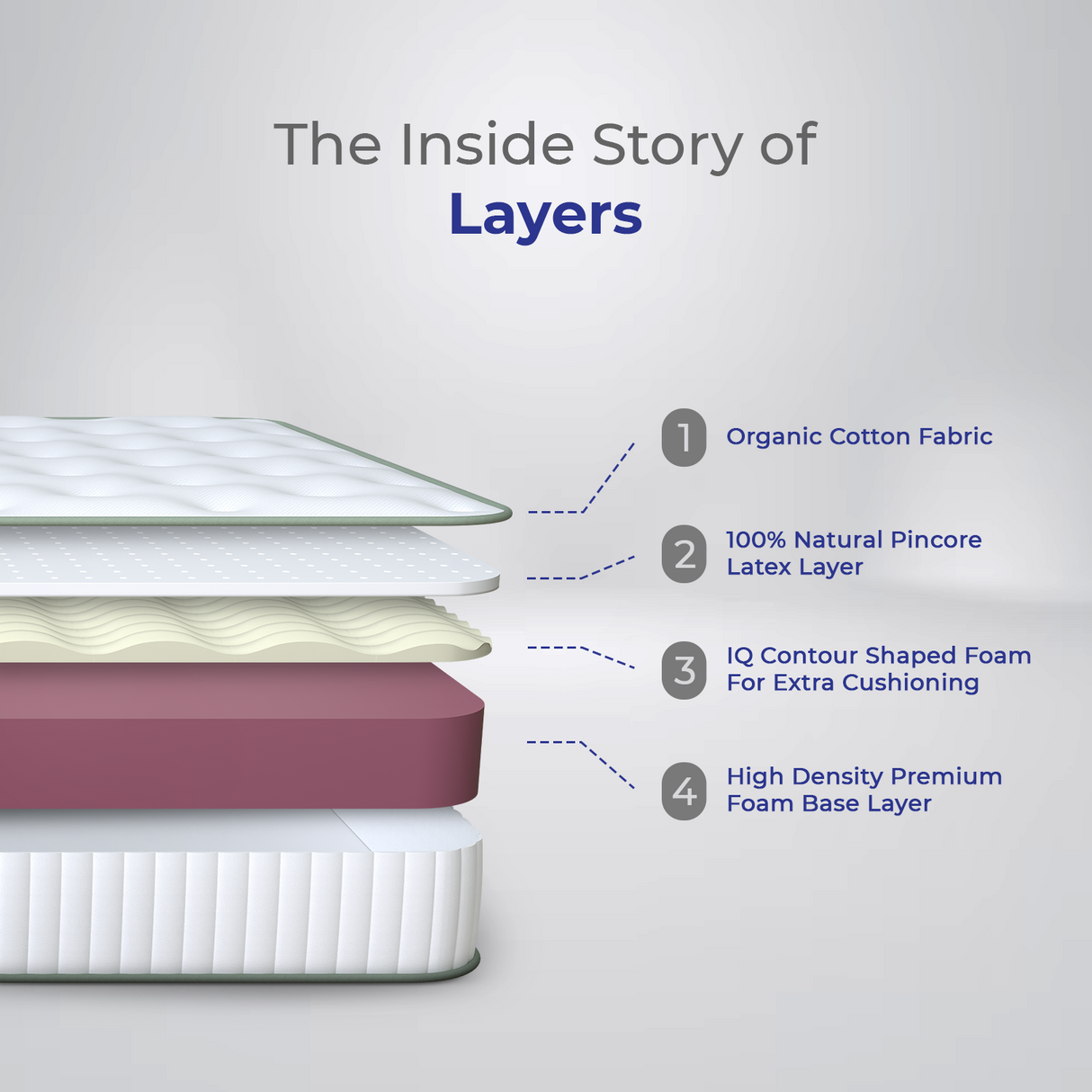SuperNova Latex & Memory