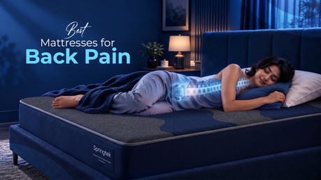 Best Mattresses for Back Pain