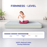100% Natural Latex Dunlop Mattress