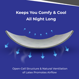 2" Natural Latex Mattress Topper