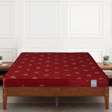 Classic Amaze Eco HD Foam Mattress mattress with gold patterns on a wooden bed frame against a white paneled wall.