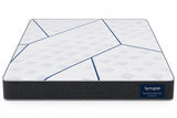 Memory & Bonded Foam, Spine Support Orthoapedic