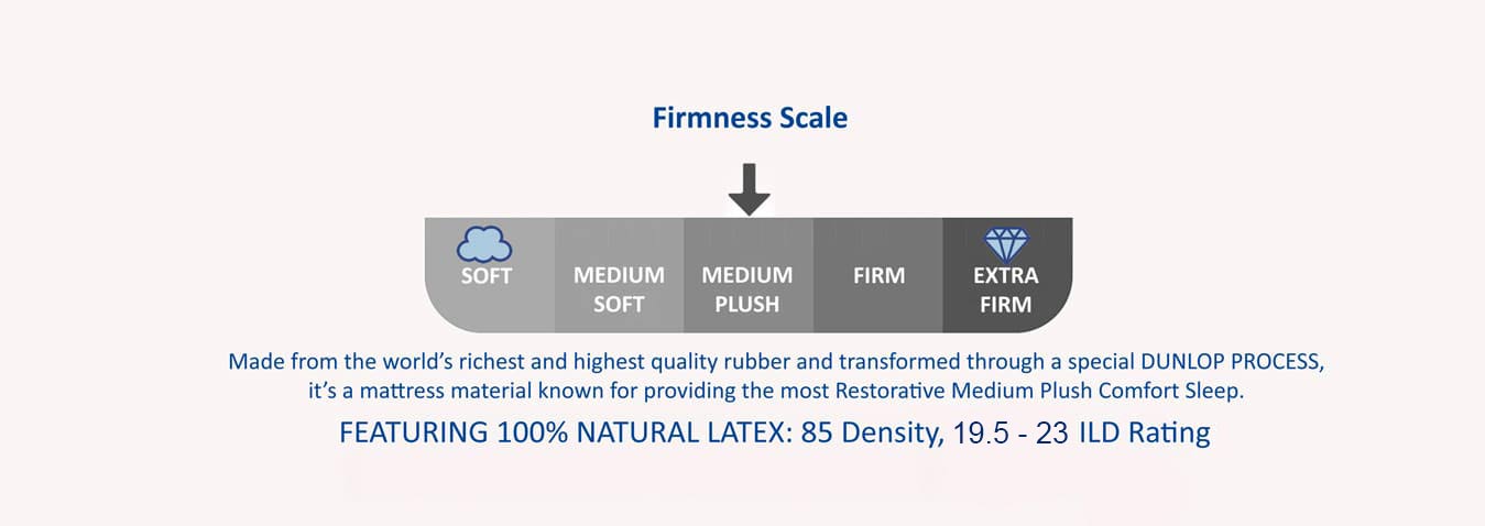 Firmness Scale Natural Latex Mattress