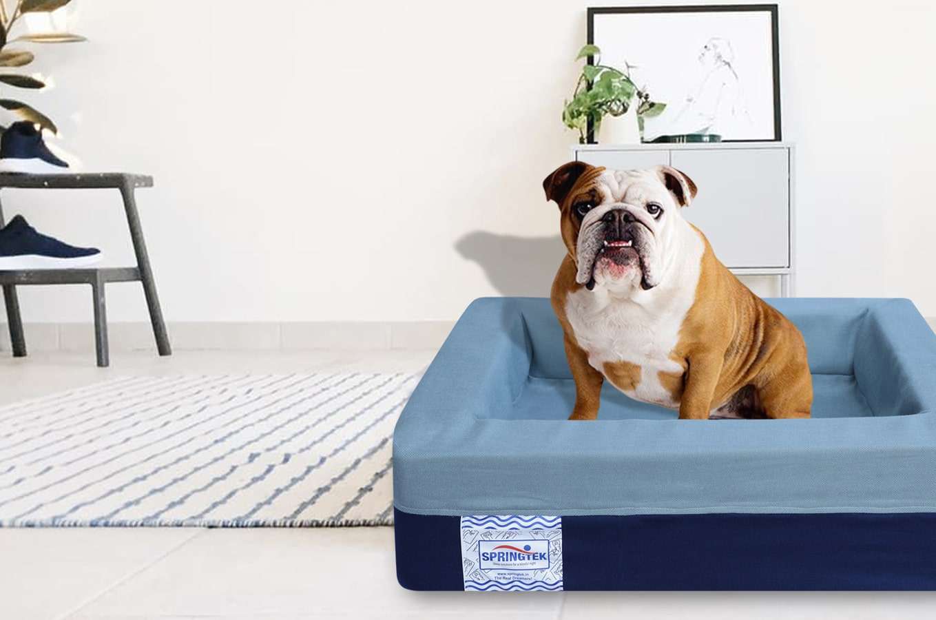 Beds for puppies