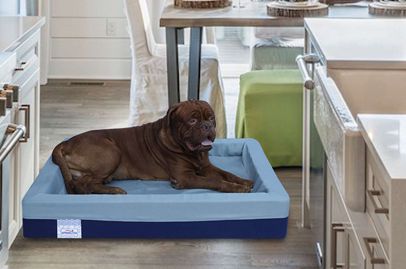 Buy dog bed online