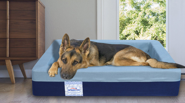 Luxury beds for pets
