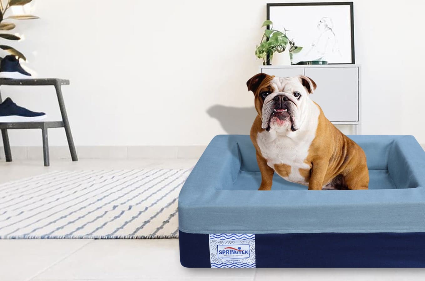 Small size dog beds