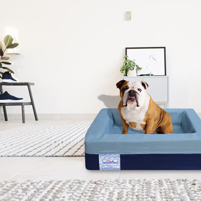 Small size dog beds